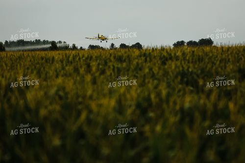 Crop Duster Corn Field 3138