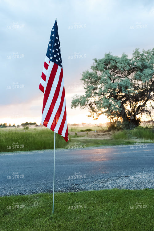 Flag in Farm Yard 83048