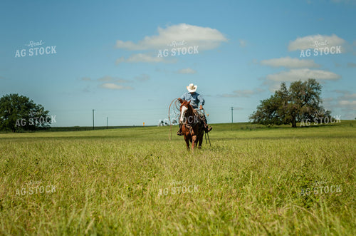 Rancher Riding Horse in Pasture 59017