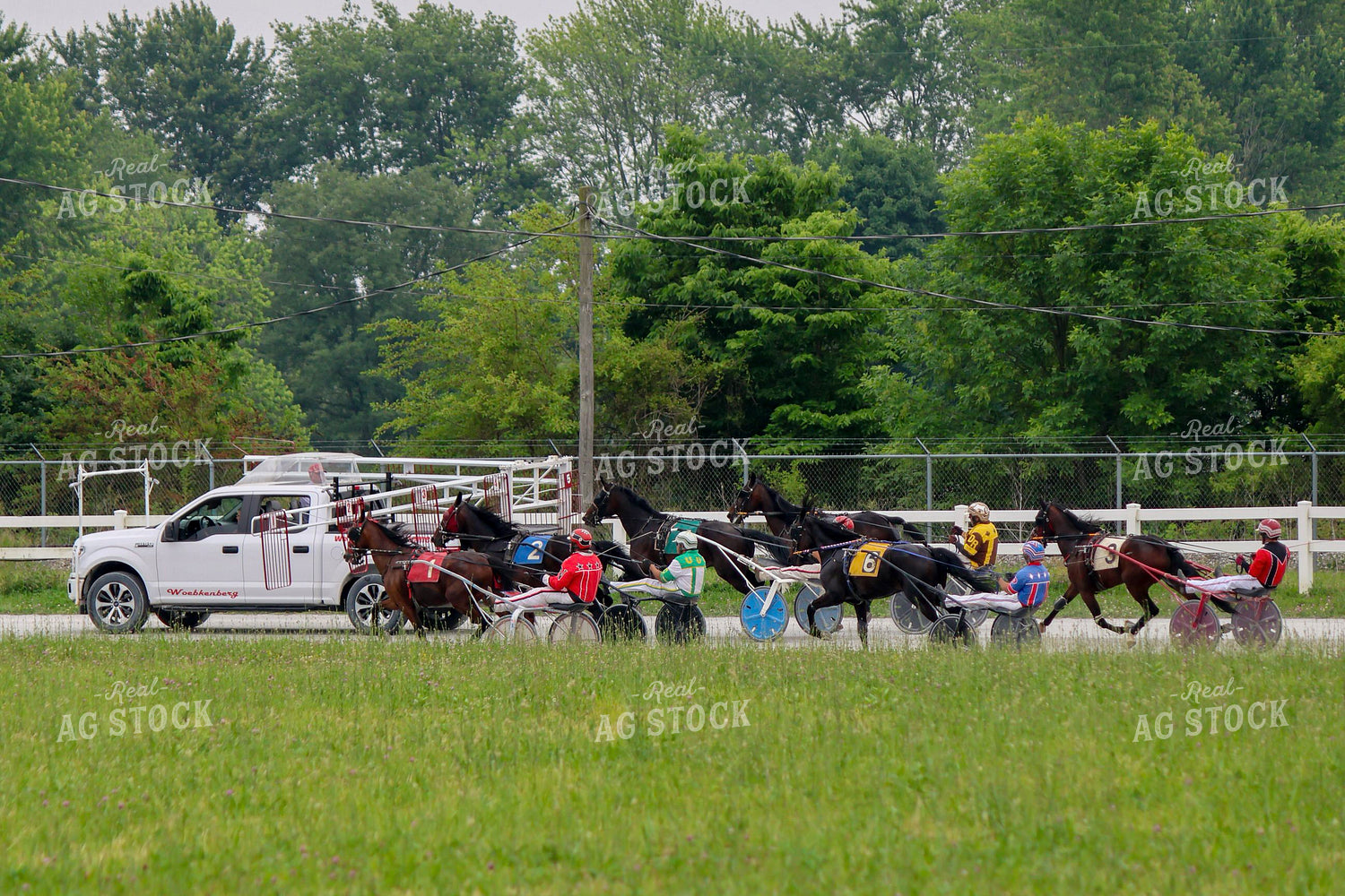 Harness Racing 109145