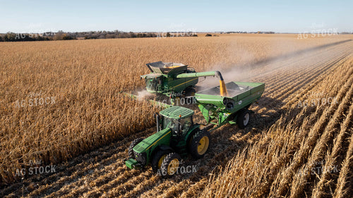 Corn Harvest 114016