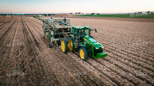 Onion Harvest 56721