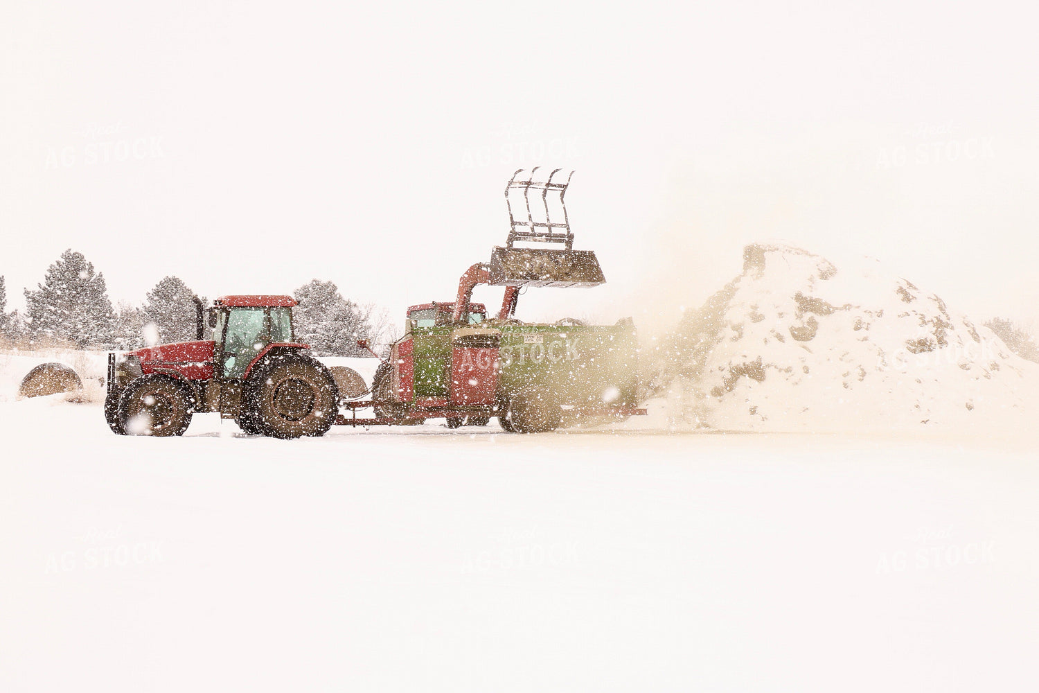 Filling Feed Wagon in Winter 299231