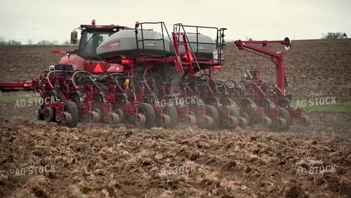 Planting into Tilled Cover Crops - 192