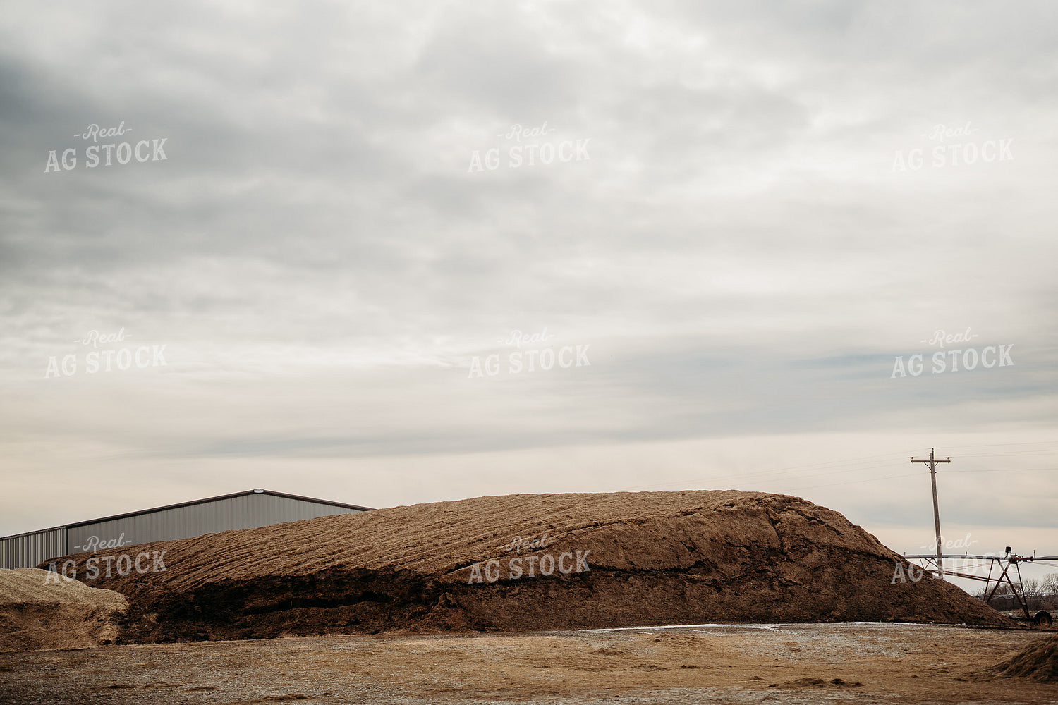 Uncovered Silage Pile 196177
