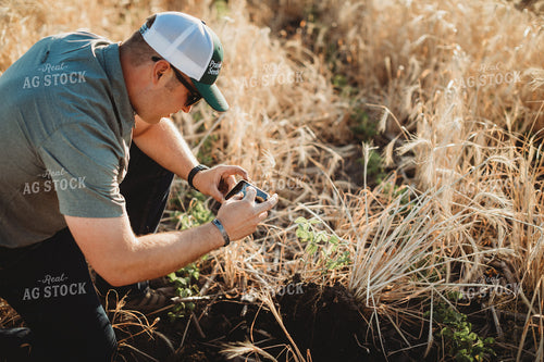 Farmer Agronomist Taking a Picture of Soil in Soybeand and Rye Cover Crop Field 5829