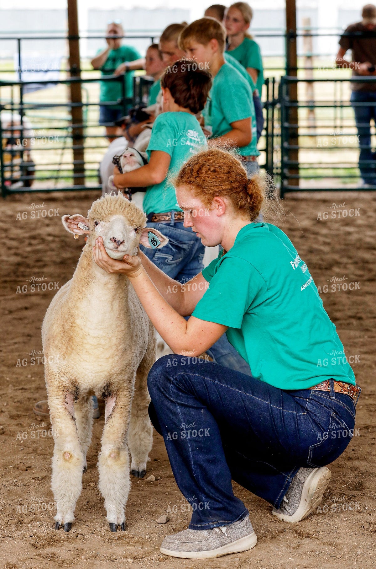 Youth Sheep Show 141718
