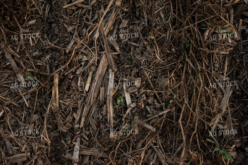 Cover Crops 76420