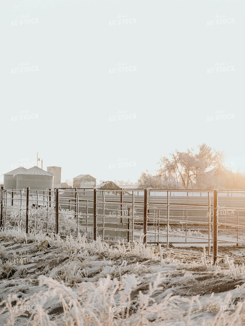 Ice on Fence 185102