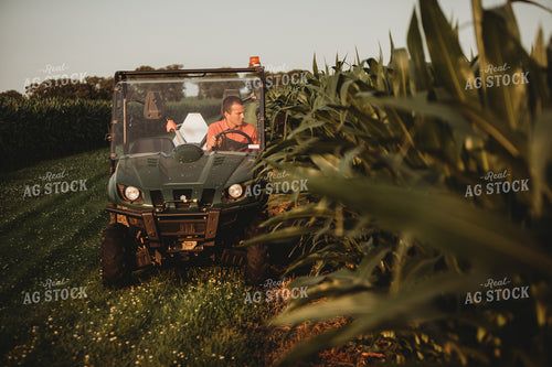 Farmer Checking Corn Crop in UTV 4556