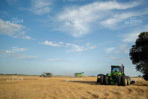 Wheat Harvest 71052