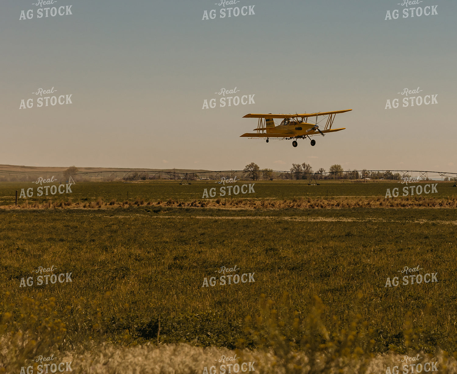 Crop Duster in Blue Sky 61080
