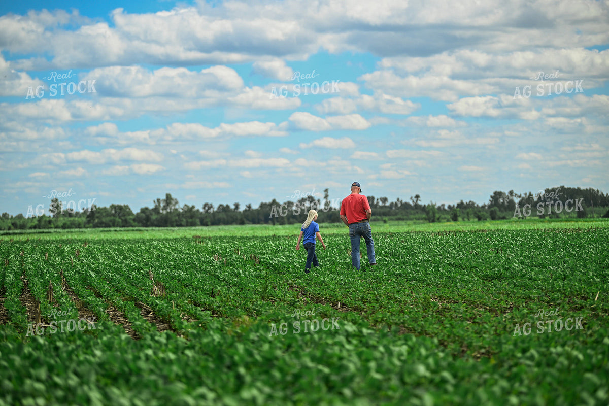 Farmer Scouting Soybean Field With Daughter 191311
