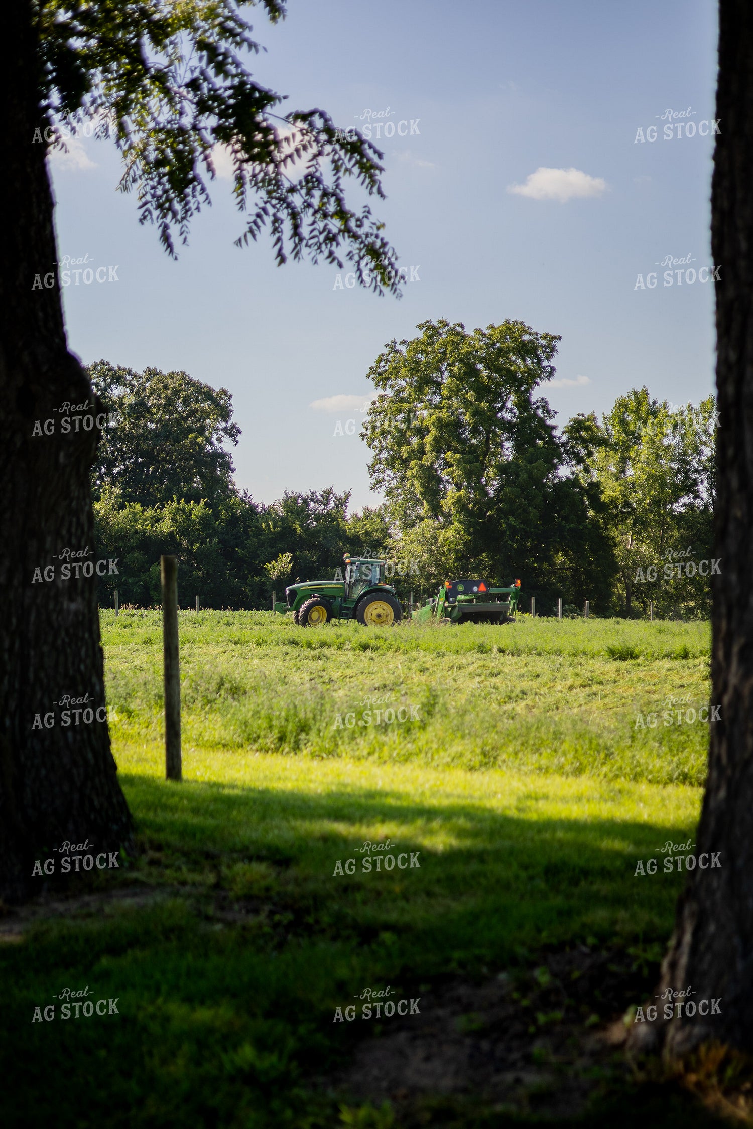 Mowing Hay 281017