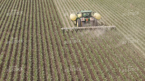 Ripping Corn 239321