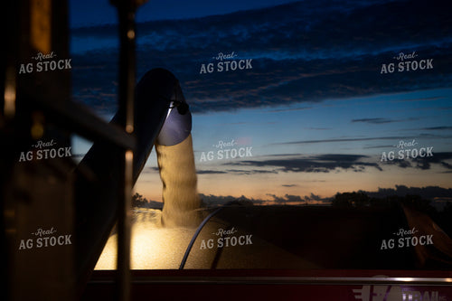 Wheat Harvest 208011
