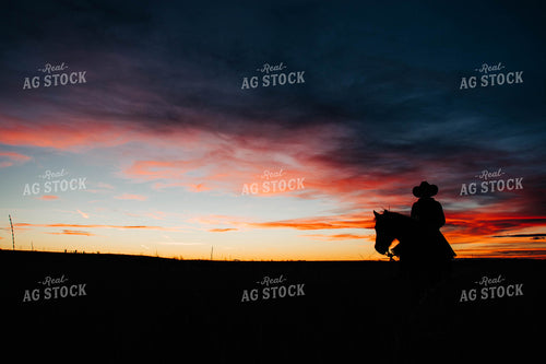Rancher on Horseback Silhouette 61005