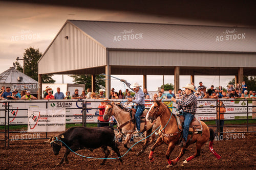 Rodeo 115794