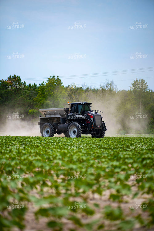 Spreading Dry Fertilizer in Cotton Field 136216