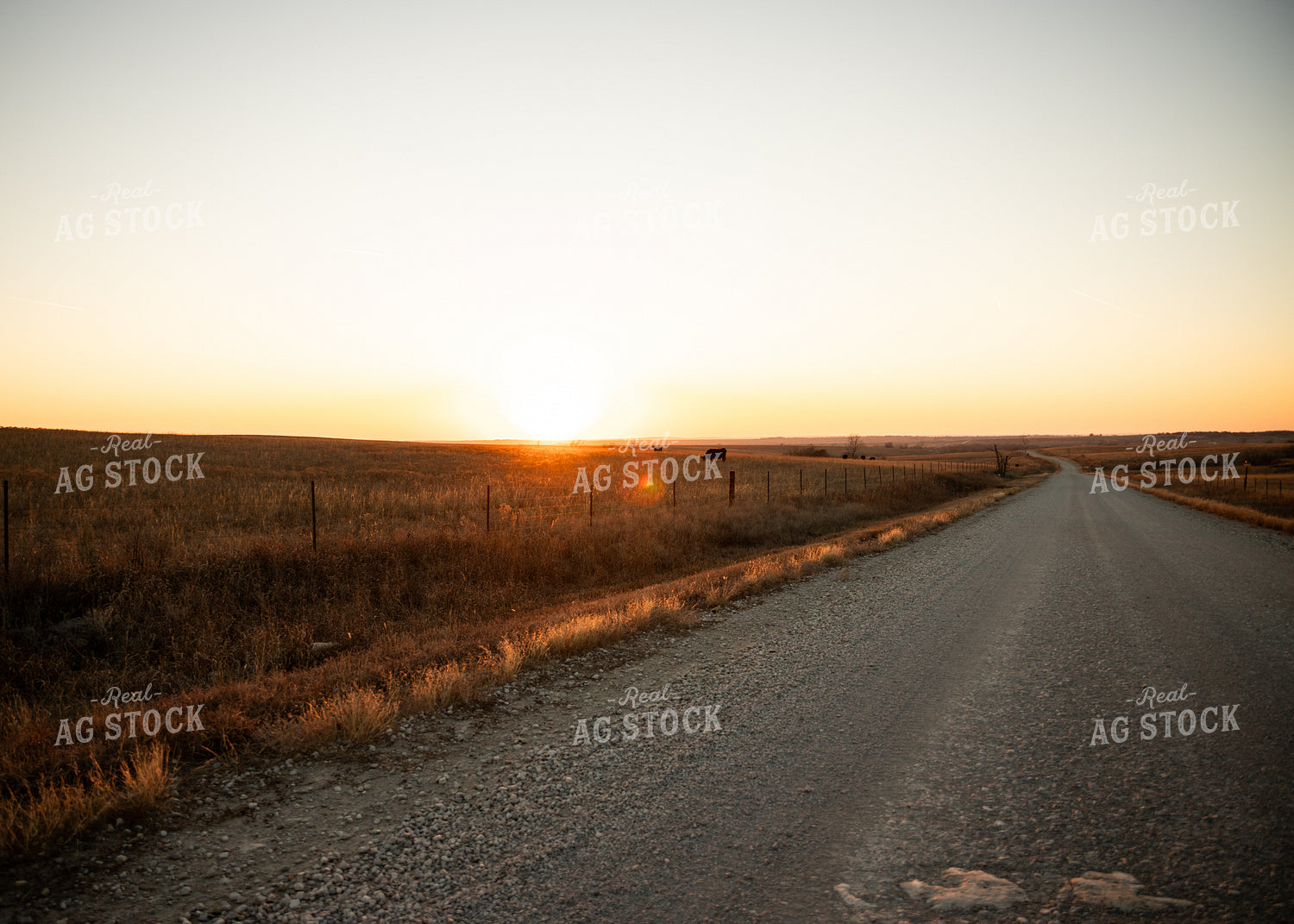 Gravel Road Alongside Pasture at Sunset 264003