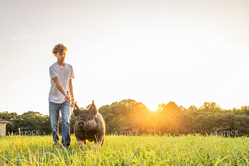 Farm Kid with Show Pig 270089