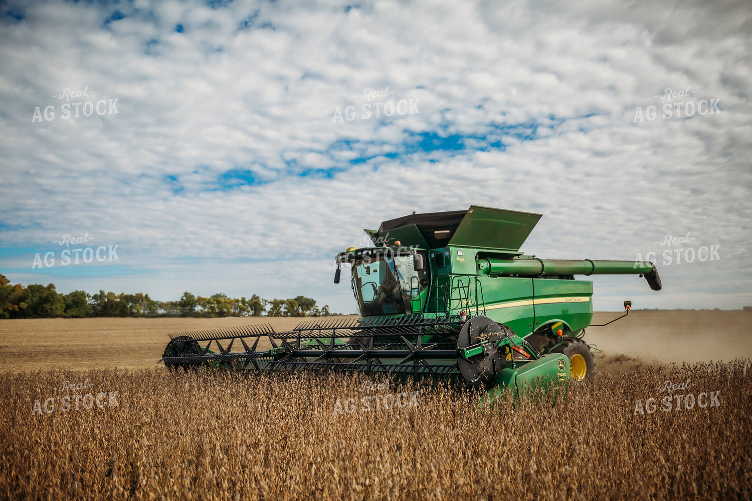 Soybean Harvest 285052