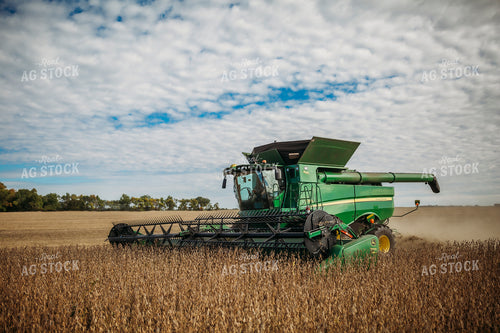 Soybean Harvest 285052