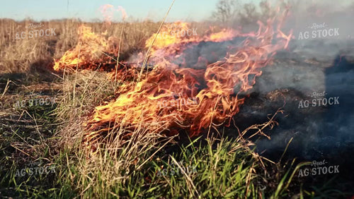 Burning Pasture 190023