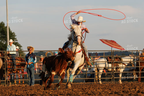 Rodeo 52892