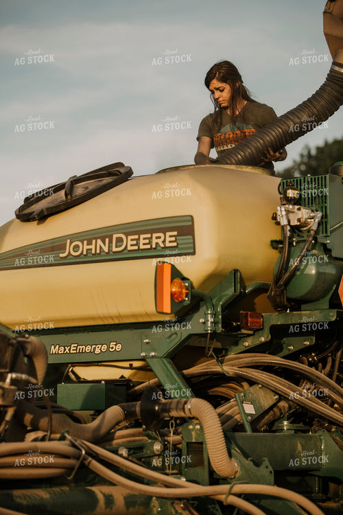 Planting 2816