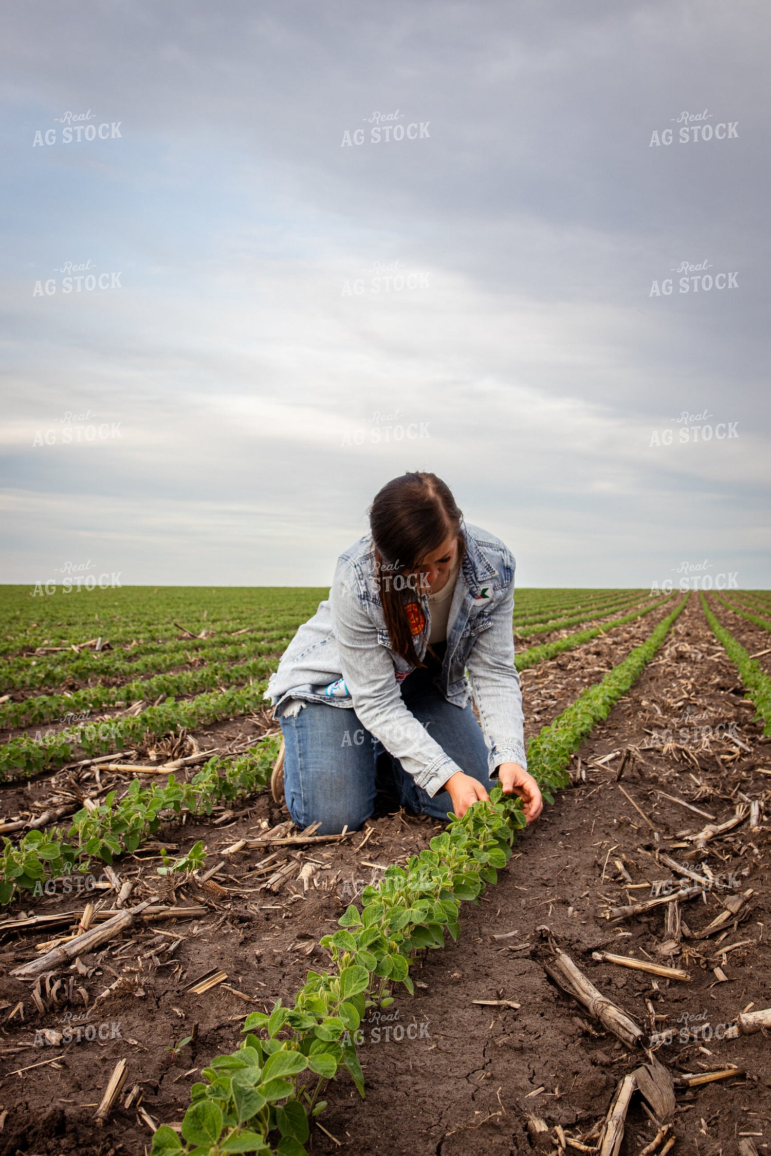 Female Farmer Checking Soybeans 67793