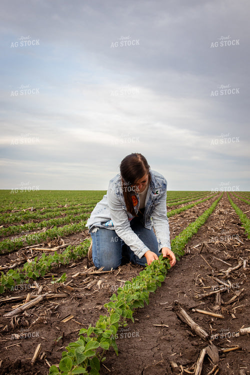 Female Farmer Checking Soybeans 67793
