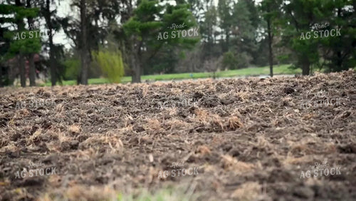 Planting into Tilled Cover Crops - 162