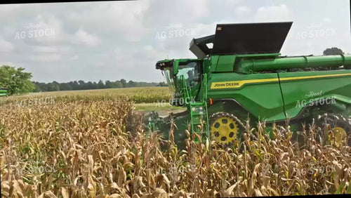 Corn Harvest 92052