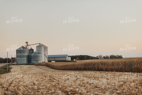 Partially Harvested Corn Field 9501