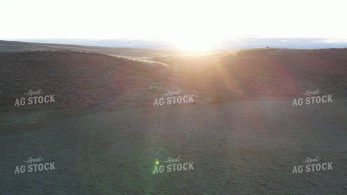 Rural Sunrise 65702