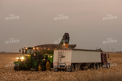Corn Harvest 274037