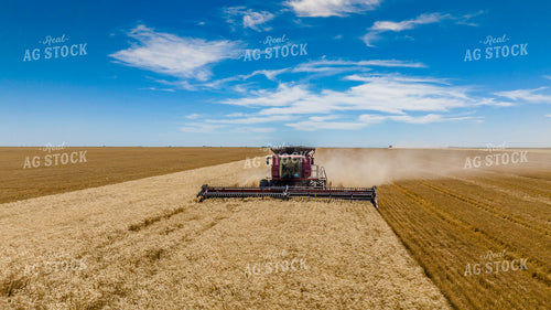 Wheat Harvest 199040