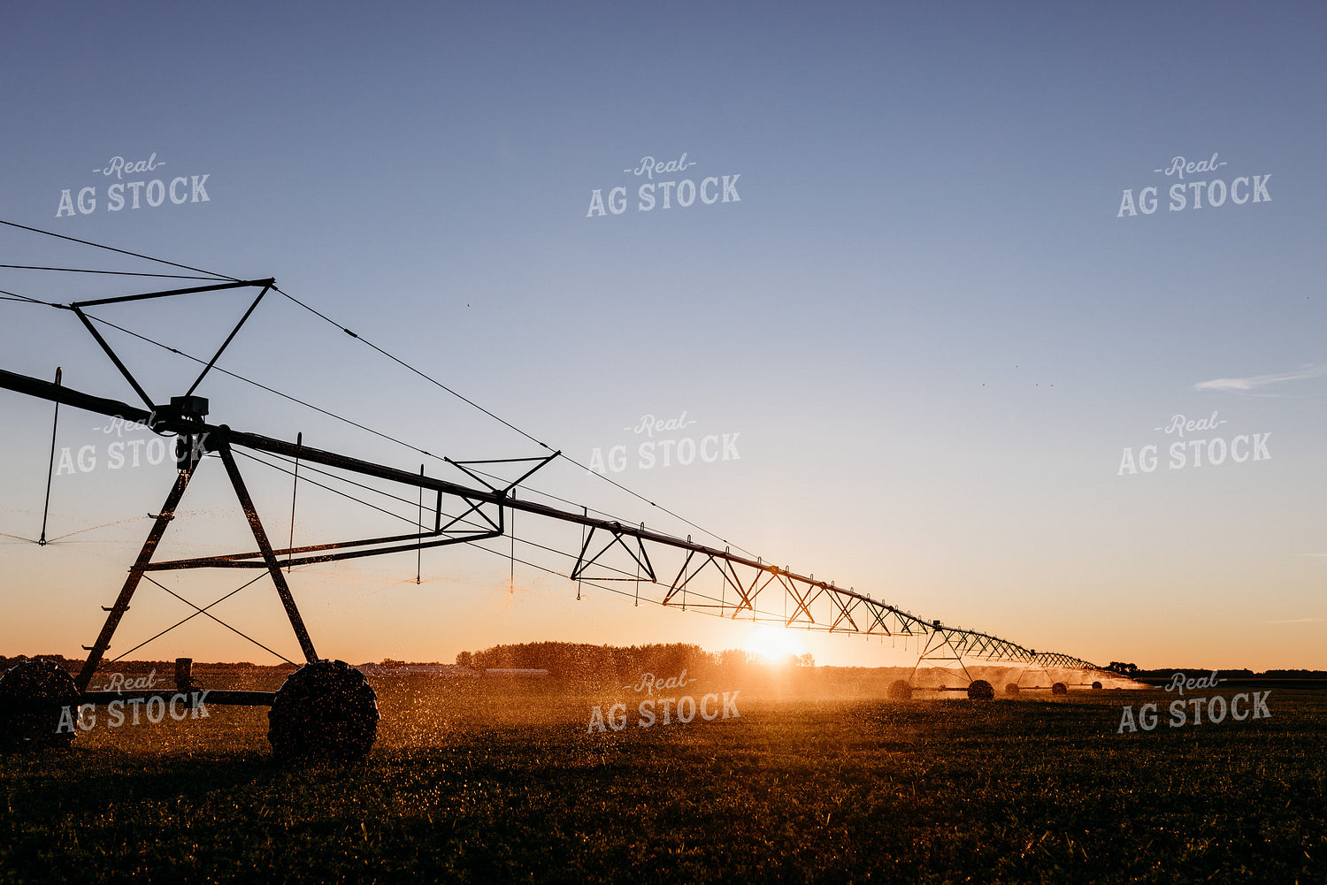 Irrigated Field 152201