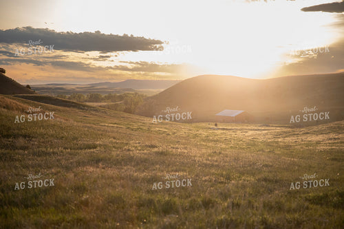 Mountain Pasture Scenery 117064
