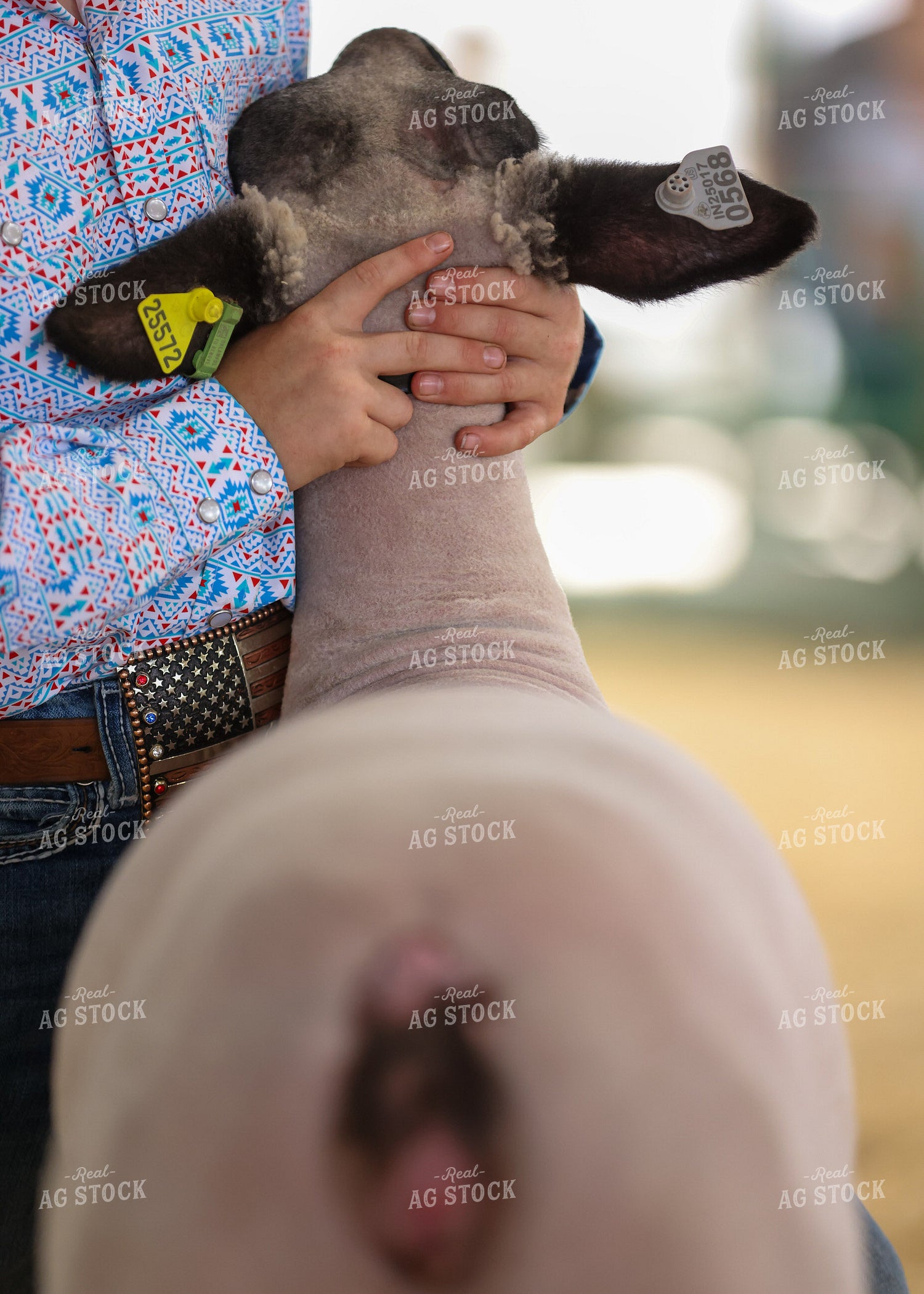Showing Goats 160149