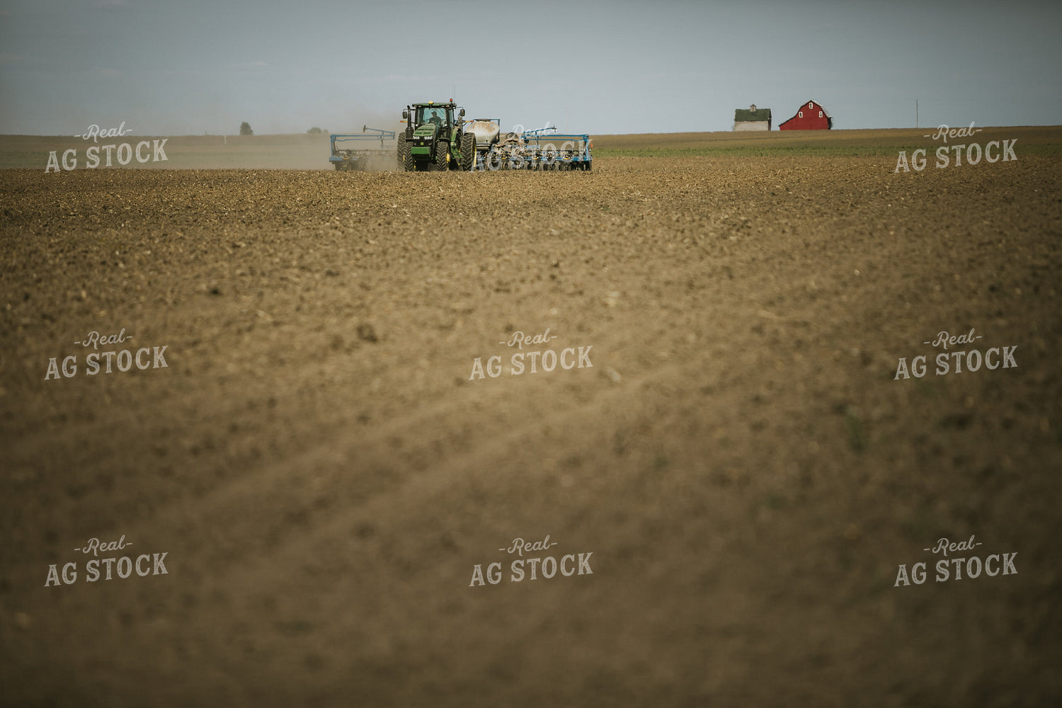Planting on a Sunny Day 4140
