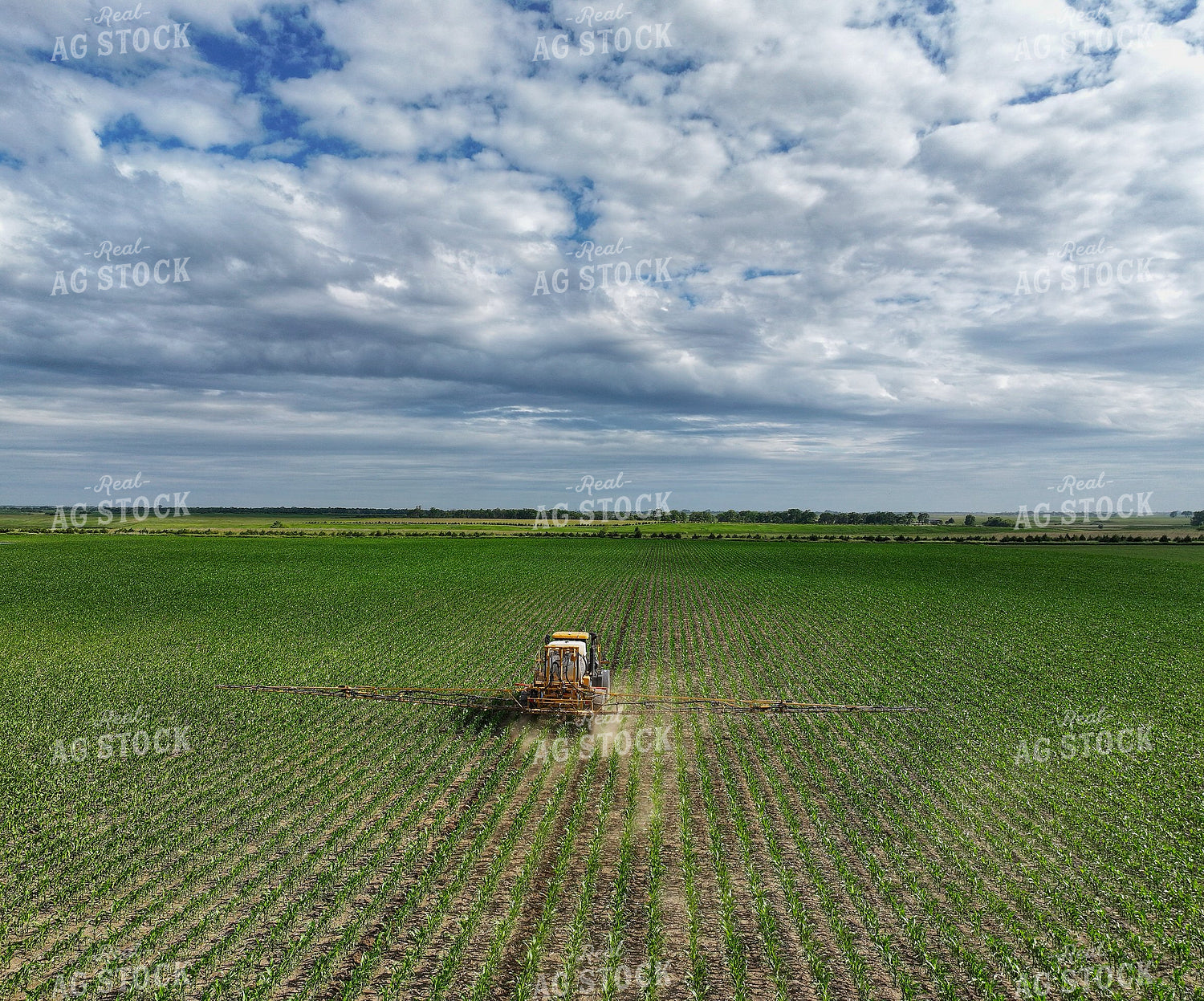 Spraying Corn 141306