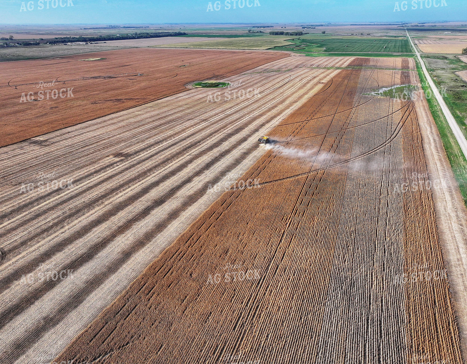 Soybean Harvest 141444