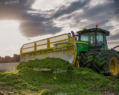 Moving Silage 211009