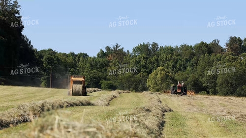 Baling and Raking Hay 295217