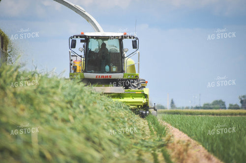 Hay Harvest 56112