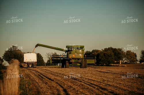 Harvest 2570