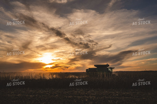 Harvest 196032