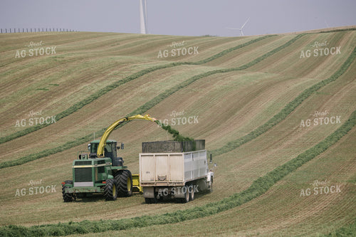 Harvesting Hay Silage 70069